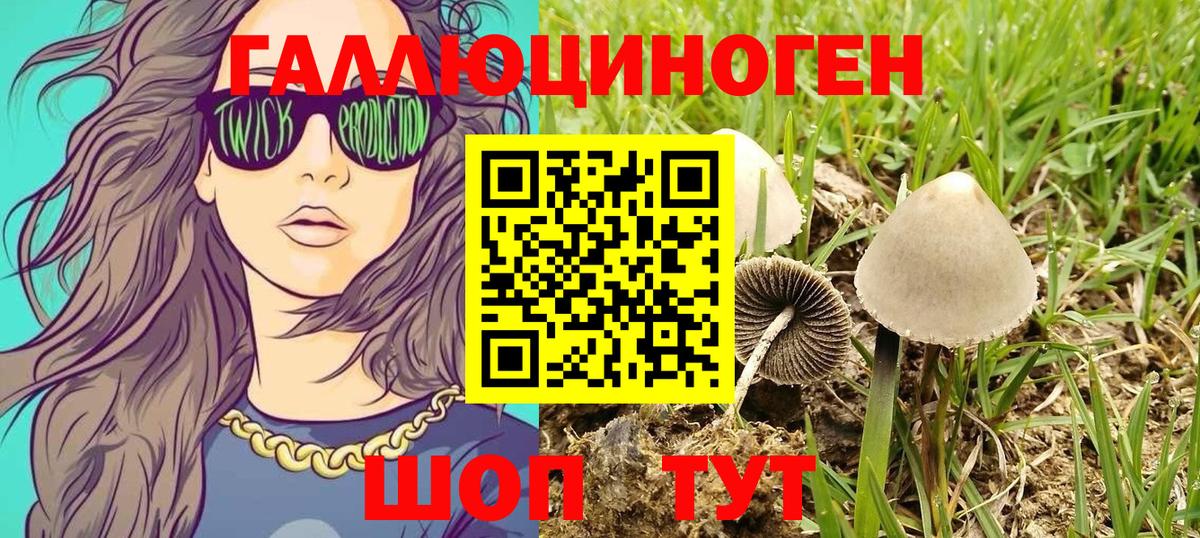 Темрюк  Псилоцибиновые грибы ЛСД  Вход с VPN  Галлюциногенные грибы Psilocybine cubensis 